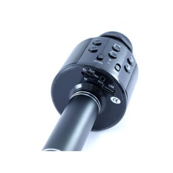 Мікрофон має велику кількість різних роз'ємів-1