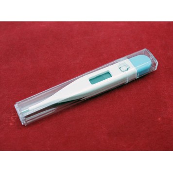 Термометр в захисному пеналі-1