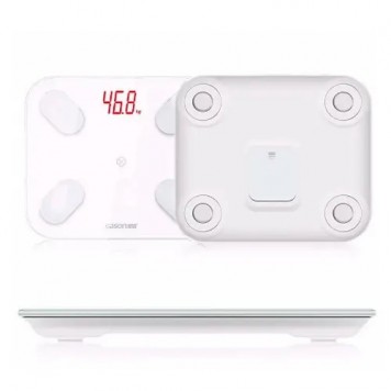 Загальний вид на ваги-1