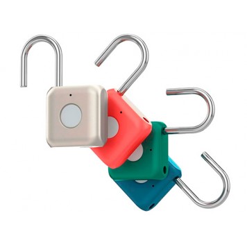 Можливі кольори корпусу замка-1